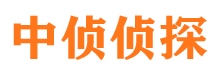 郸城侦探